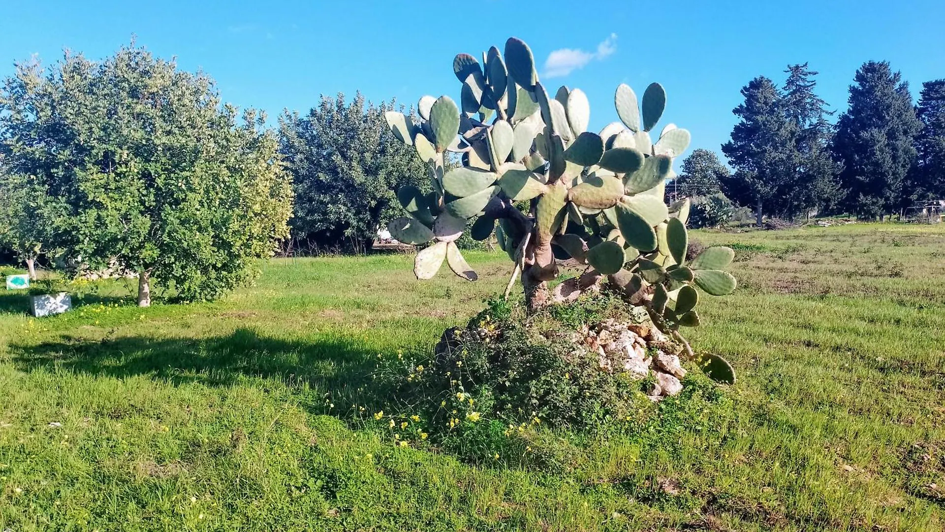 Dependance In Villa Siciliana Ognina