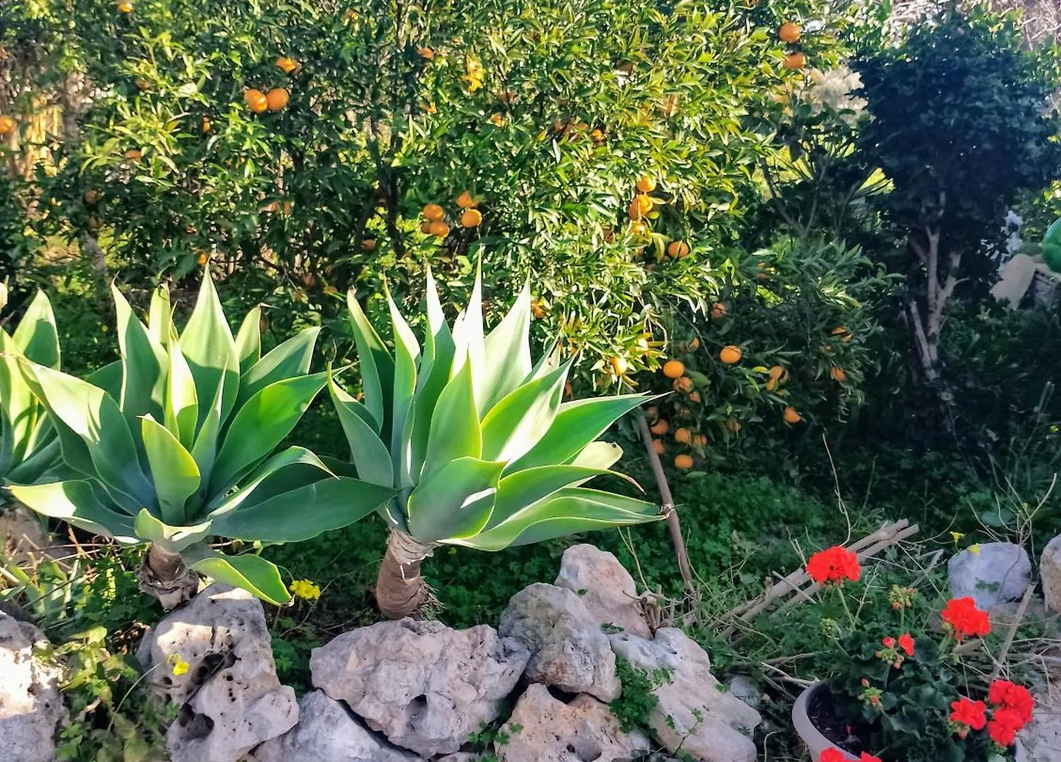 Dependance In Villa Siciliana Ognina