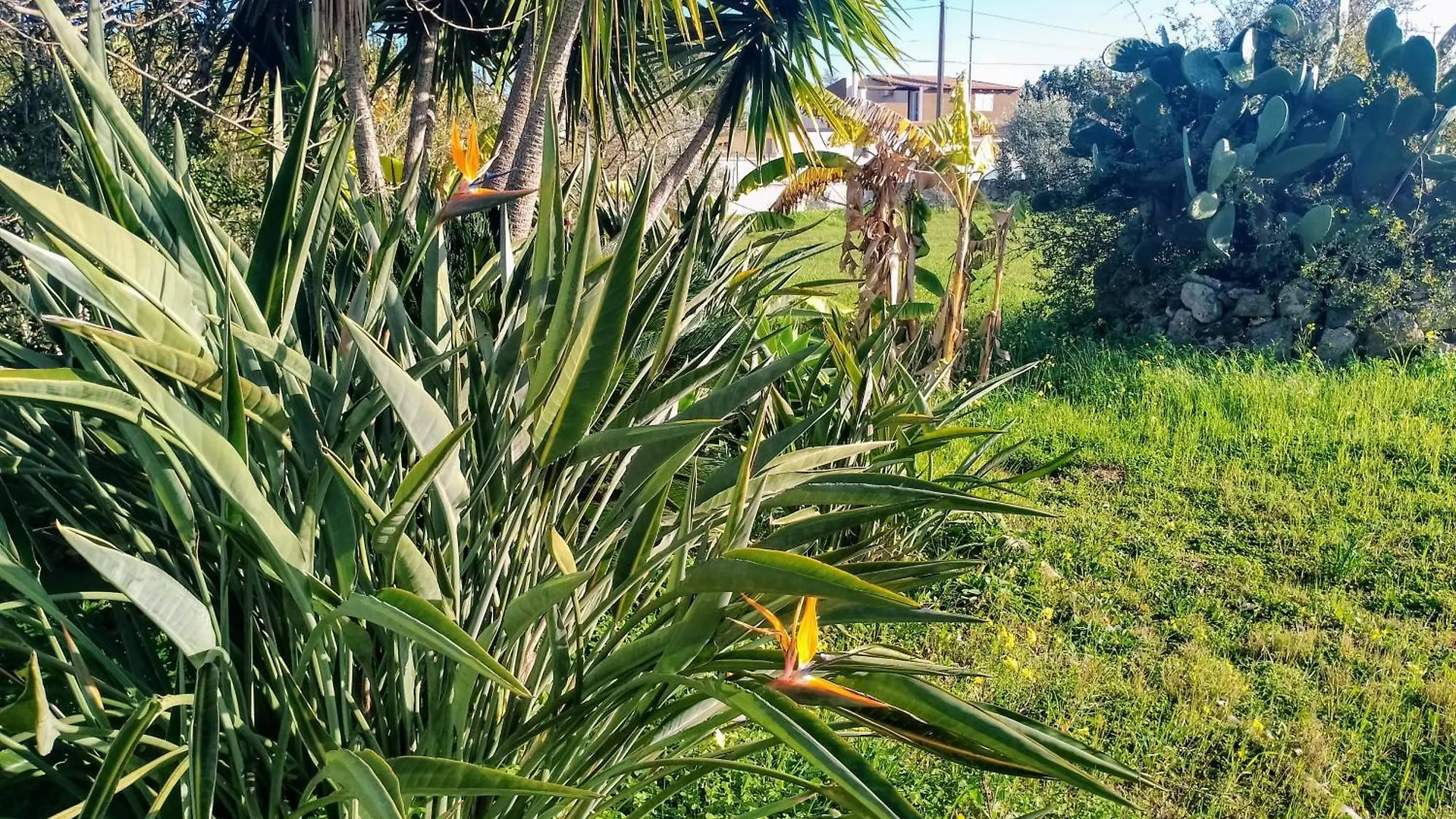 Dependance In Villa Siciliana Ognina Italy