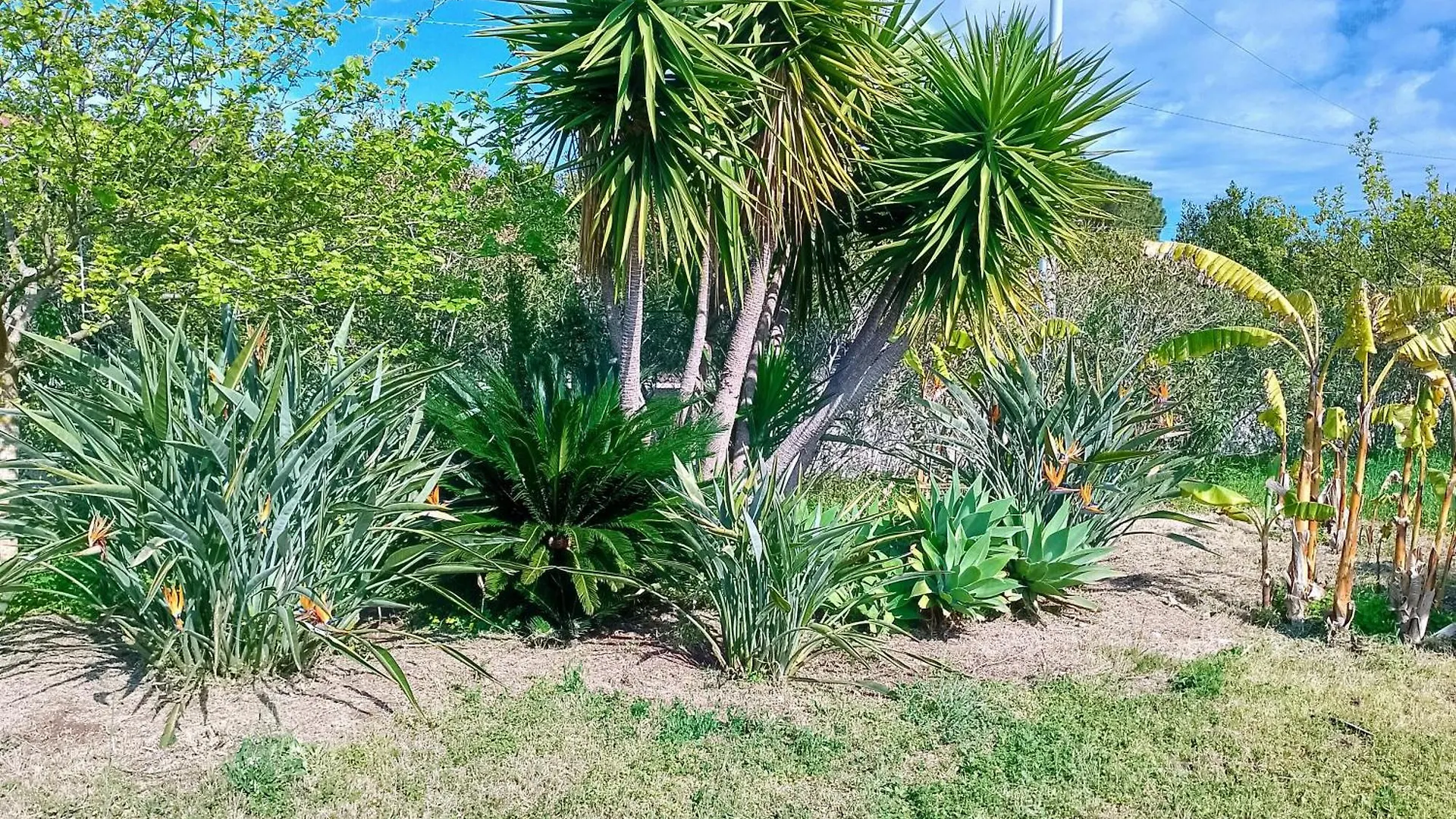 Holiday home Dependance In Villa Siciliana Ognina Italy